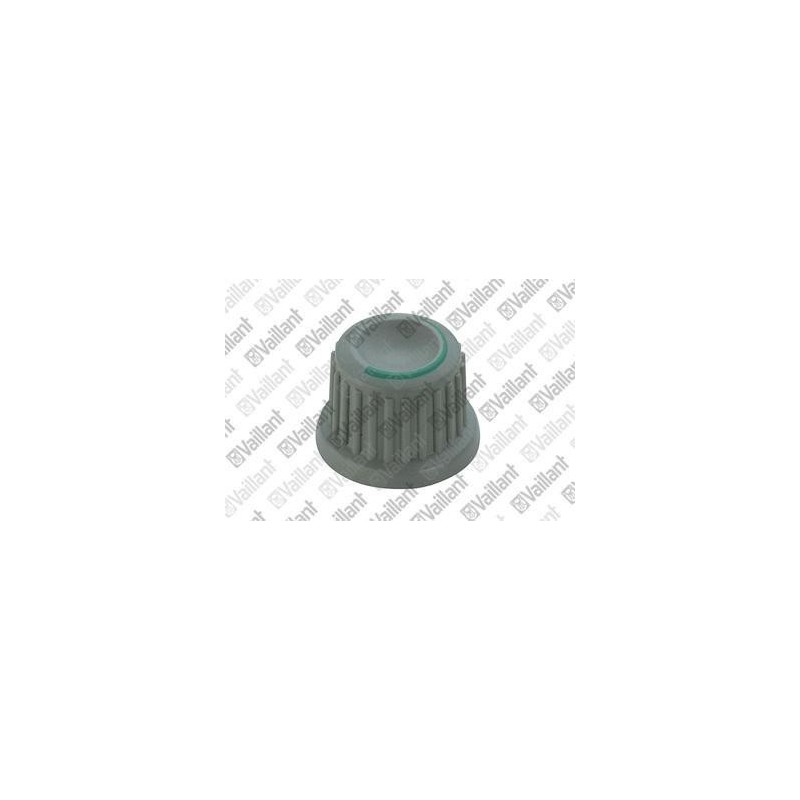 BOUTON VAILLANT gris