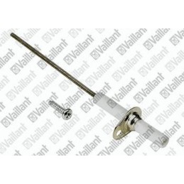 ELECTRODE DE SECURITE