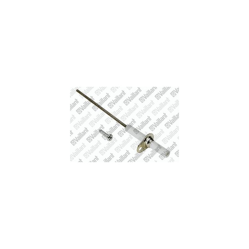 ELECTRODE DE SECURITE