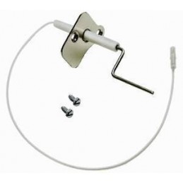 ELECTRODE DE SECURITE