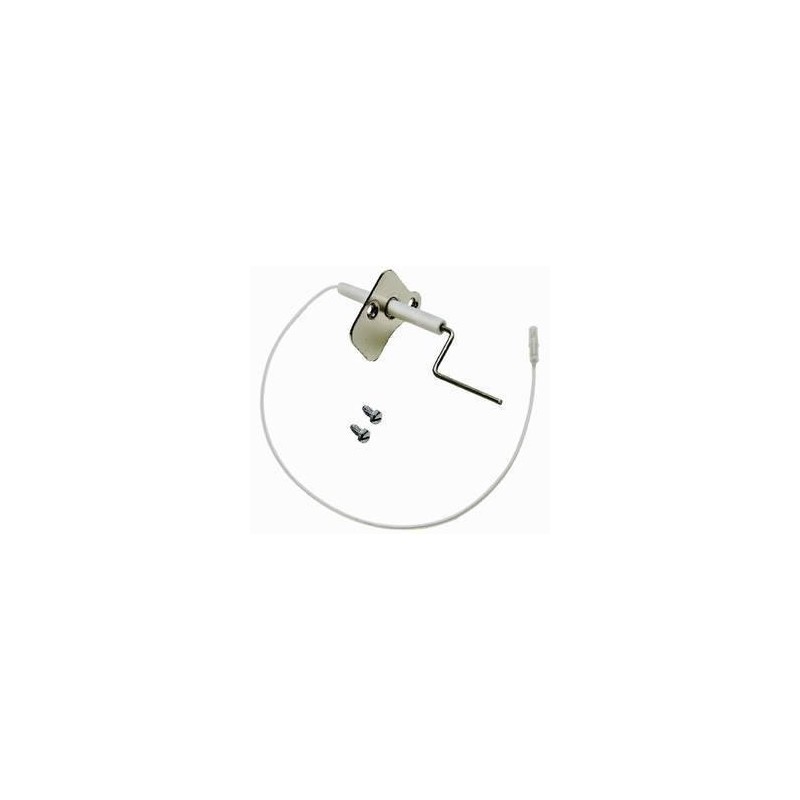 ELECTRODE DE SECURITE